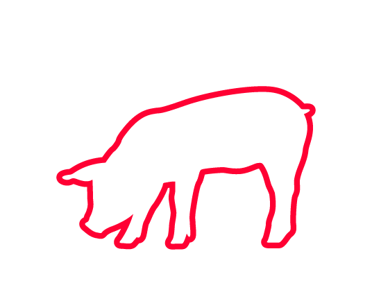 Schweinefleisch